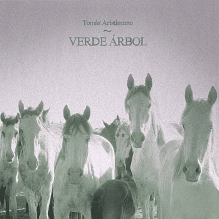 tomás aristimuño verde arbol